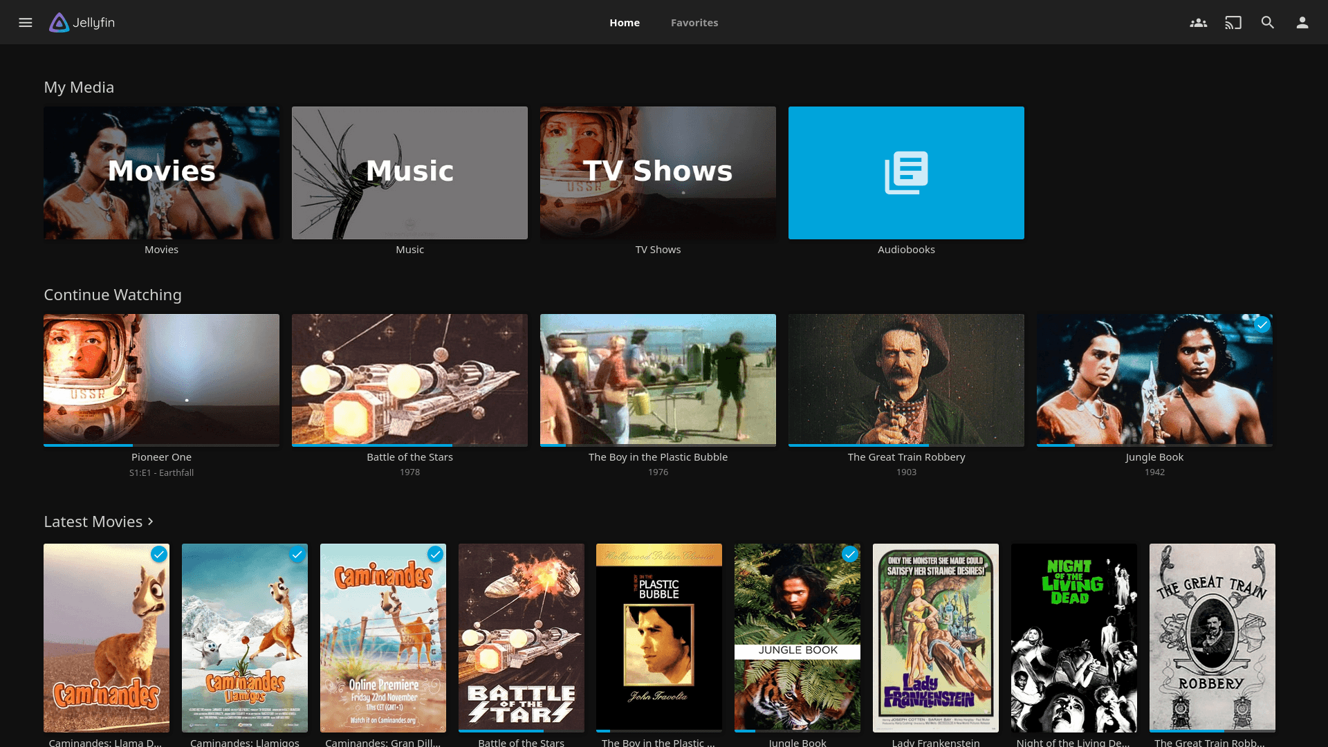 Home Media Server